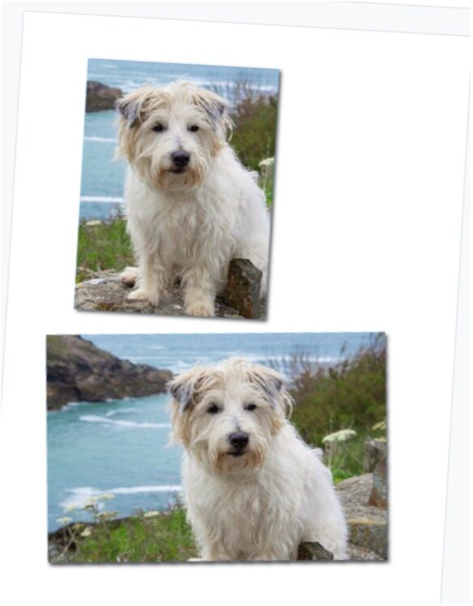 Keyrings & Magnets - Image 13