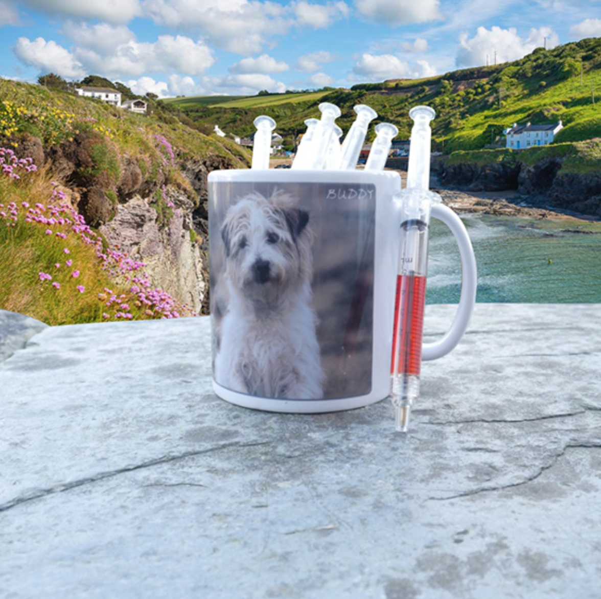 Humorous Injection Pen